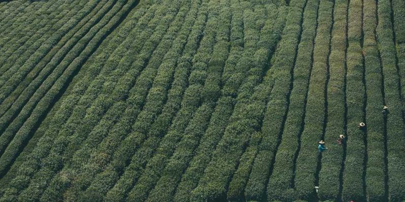 Paket Explore Jogja (3D 2N)